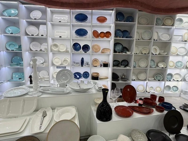 Ceramic dinner plates